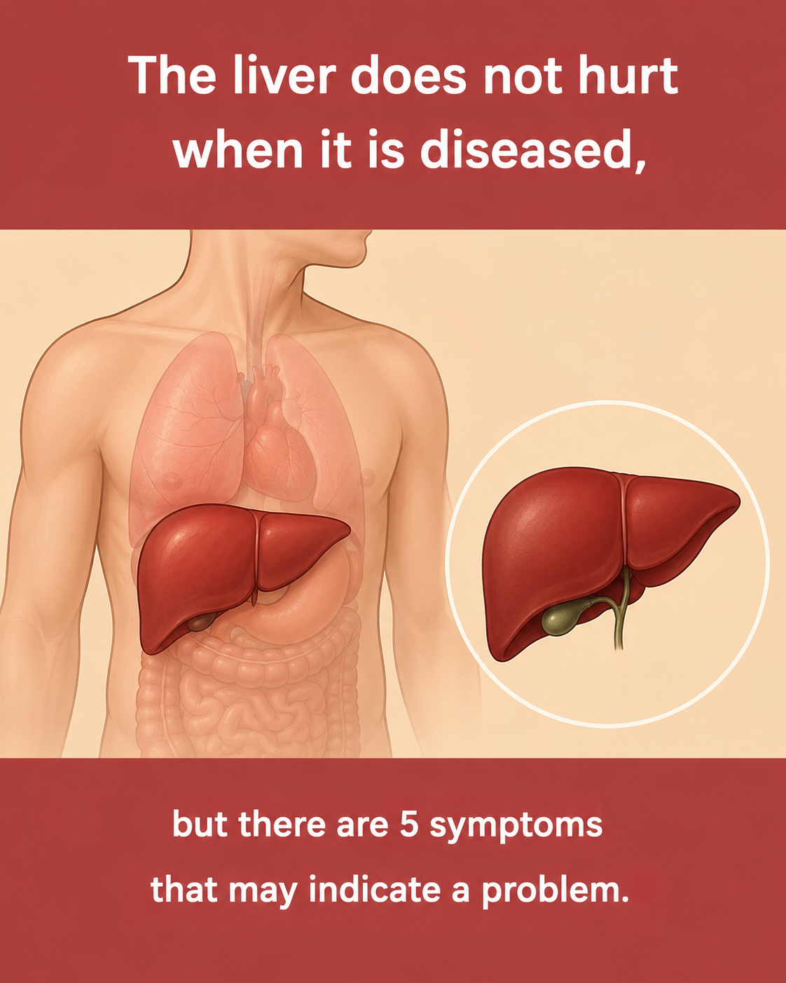 “The liver does not cause pain when it is diseased, but there are 5 symptoms that may indicate a problem.”