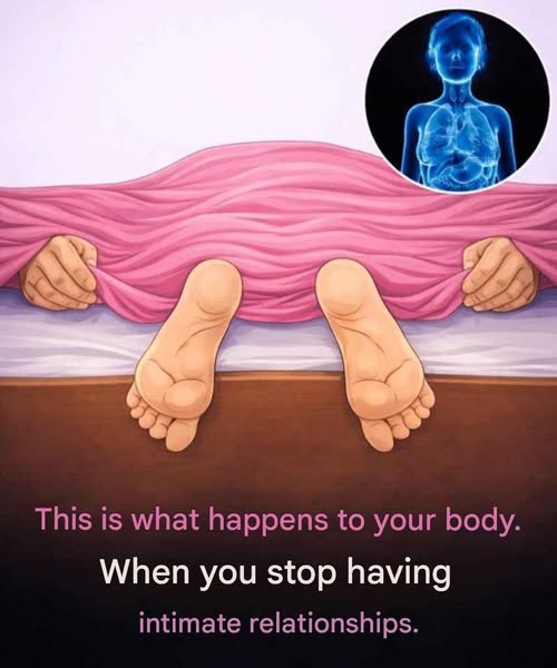 What happens to your body when you stop having sex for a long time?