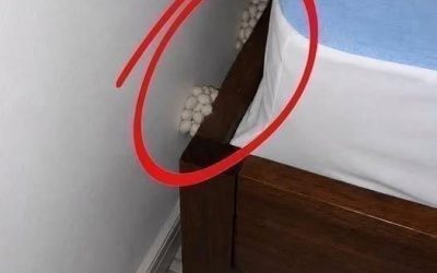 I arrived home exhausted, hoping for a quiet night, but one detail made me realize that something was wrong.