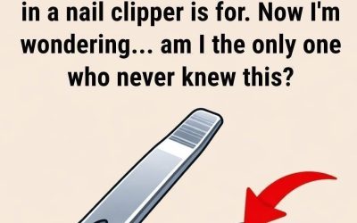 Ever Noticed That Tiny Hole on Your Nail Clipper? Here’s What It’s Actually For