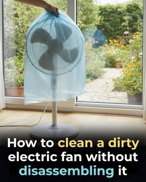 How to Clean a Fan Without Taking It Apart