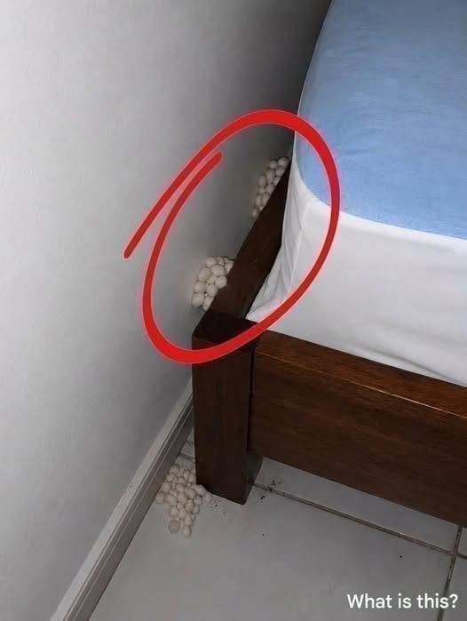 Je suis arrivé à la maison épuisé, espérant une nuit tranquille, mais un détail m’a fait réaliser que quelque chose n’allait pas