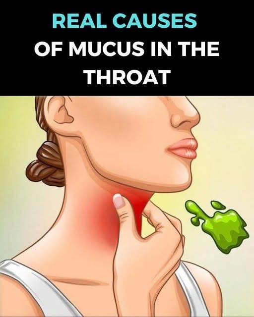 The Real Causes of Constant Phlegm and Mucus in Throat and How to Get Rid of It!