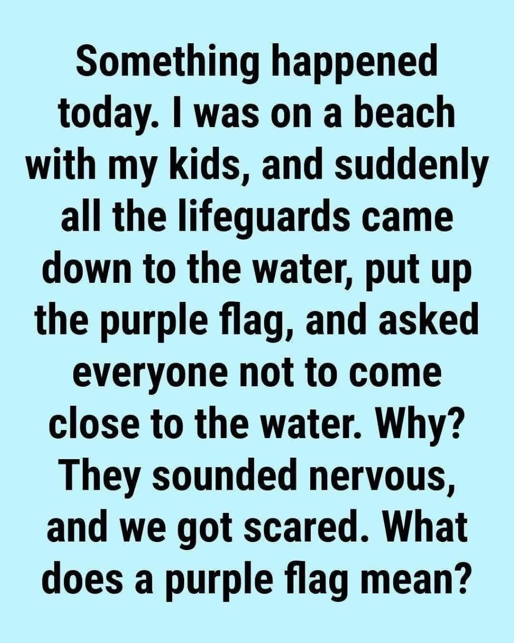 What Does the Purple Beach Flag Mean? The Hidden Ocean Warning Most Swimmers Ignore