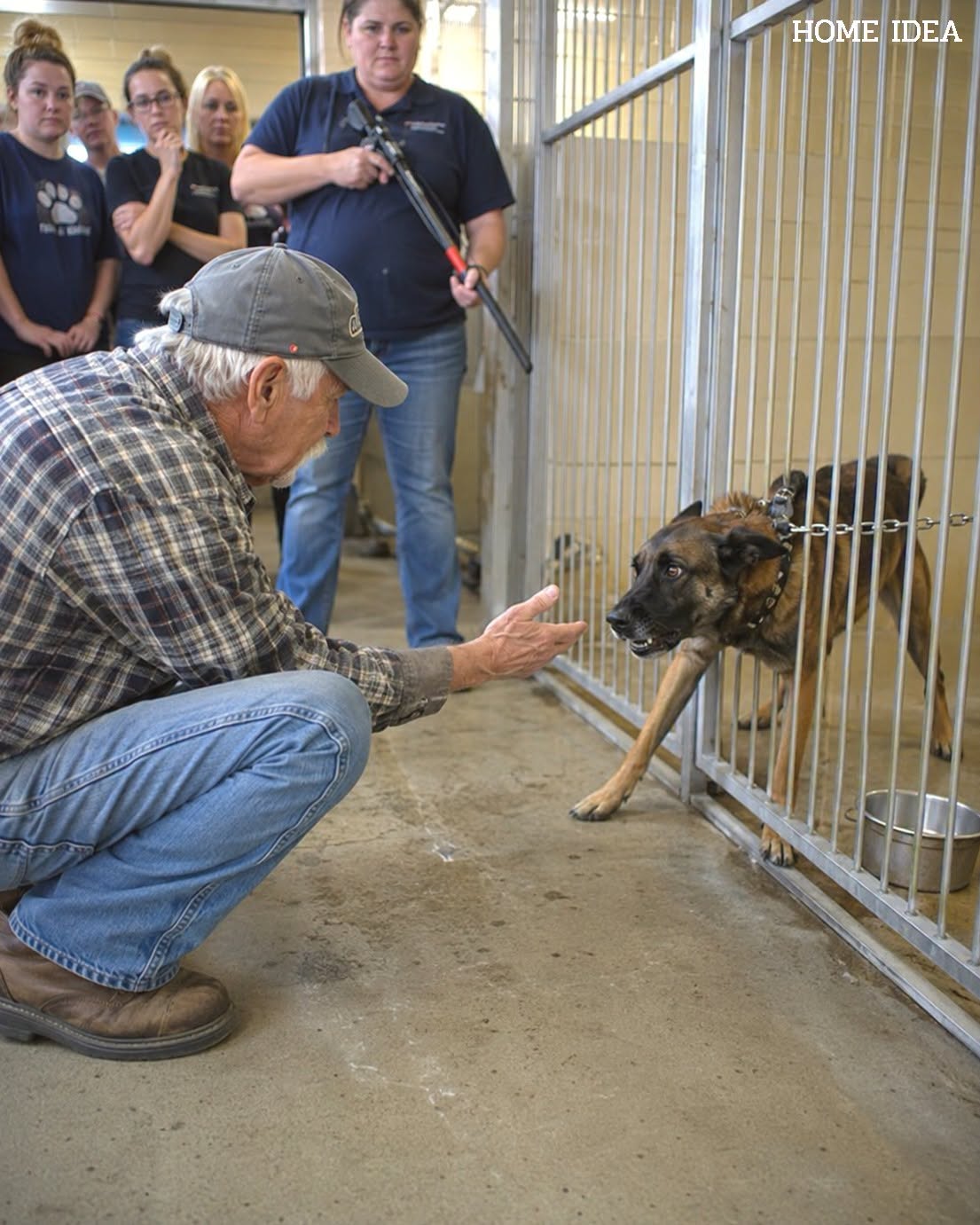 The Farmer Who Whispered The One Word That Saved A Lost War Dog