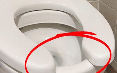 Have You Ever Wondered Why Public Restrooms Have U-Shaped Toilets?