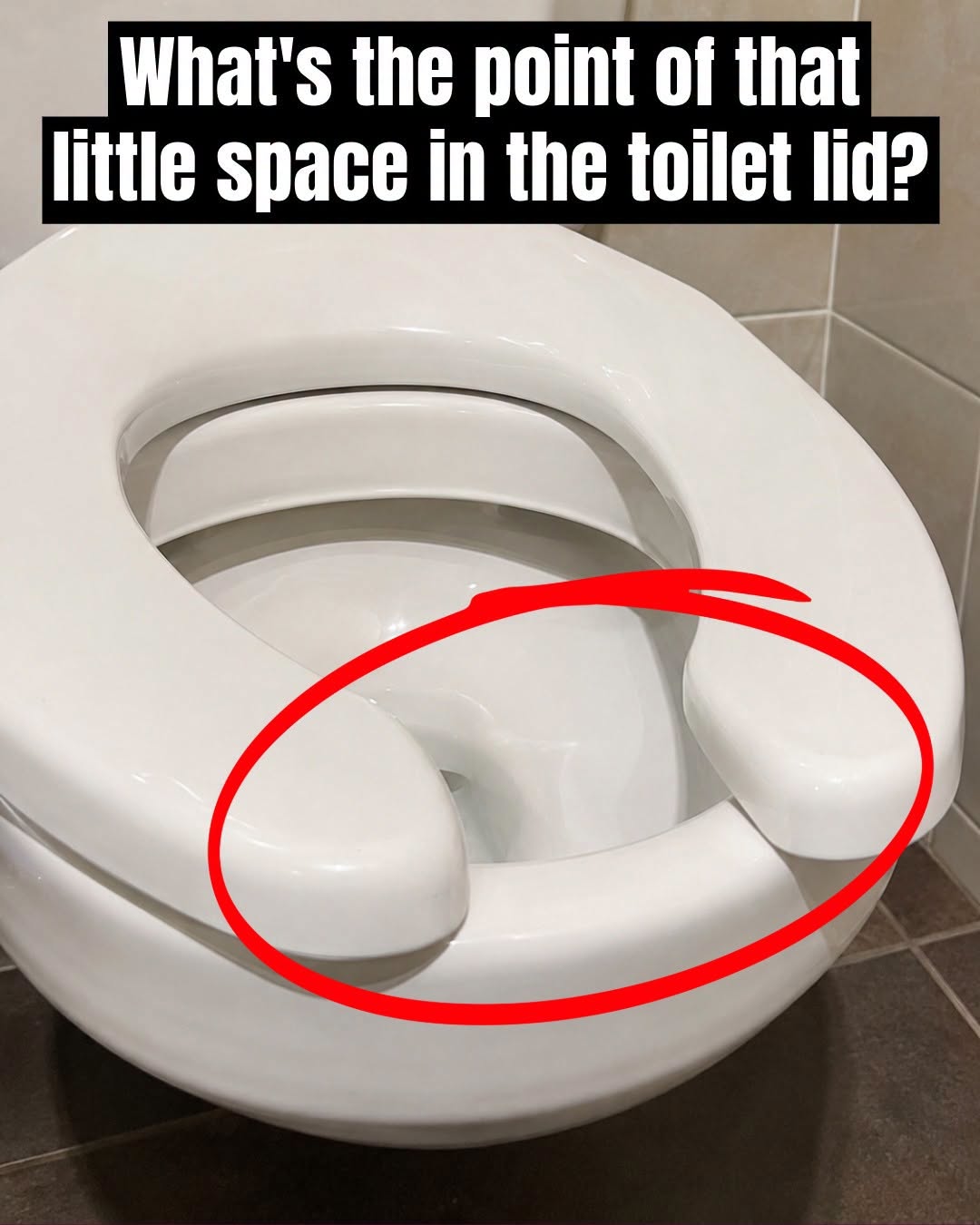 Have You Ever Wondered Why Public Restrooms Have U-Shaped Toilets?