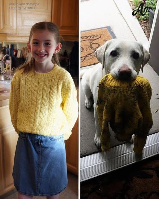 My Dog Brought Me My Late Daughter’s Sweater the Police Had Taken – Then He Led Me to a Place That Stopped Me Cold