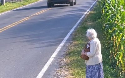 After we laid my husband to rest, my son drove me to a quiet road outside town and said, “This is where you get out